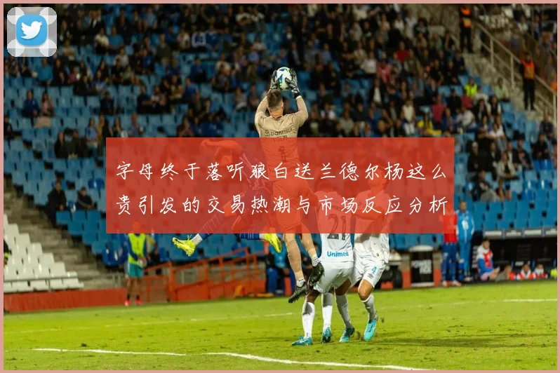 字母终于落听狼白送兰德尔杨这么贵引发的交易热潮与市场反应分析