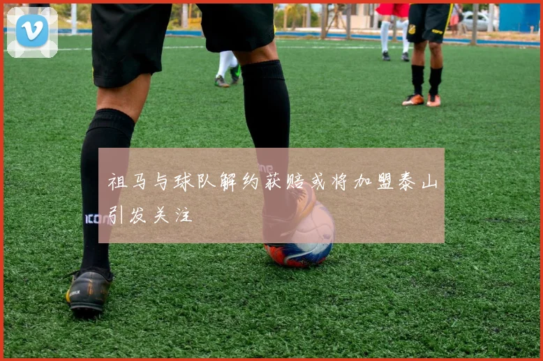 祖马与球队解约获赔或将加盟泰山引发关注